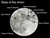 </p>
<p>The moon's lighter areas are mountainous or heavily cratered terrain, while the darker areas are roughly circular and cover much of the moon's face.