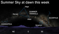  This week, evening stargazers face the stars associated with the Northern Hemisphere winter, toward constellations such as Orion and Taurus. 