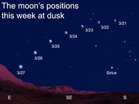 The moon is patient, reliable, soft and friendly, and it's in these qualities we find her great strength.