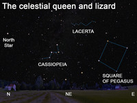  People have searched the stars for shapes since ancient times. The constellations Cassiopeia and Lacerta form the shapes of the letters W or M in the late summer sky. 