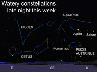  Watery constellations late night this week. 