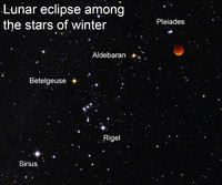  Lunar eclipse among the stars of winter. 