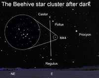  The Beehive Cluster is an open cluster in the constellation Cancer. 