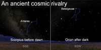  No matter when you look, you'll never find Orion and Scorpius in the sky together. As Orion sets, Scorpius rises. And as Scorpius sets, Orion rises.  