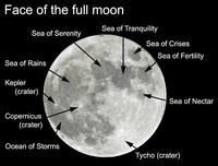 We know the lighter areas of the moon as mountainous or heavily cratered terrain of higher elevation, and we call them the "lunar highlands." The darker areas are roughly circular and cover much of the moon's face; they are known as "mare" or "seas."