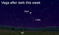  Vega is the most brilliant star in the tiny constellation of Lyra, the harp, and it's one of the three bright stars of the grouping known as the Summer Triangle. 