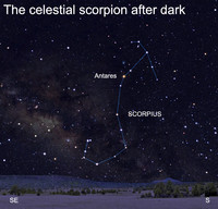  Antares marks the heart of this celestial arachnid, one of the most recognizable stellar groupings in the heavens. 