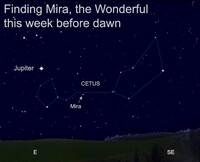  Mira changes in both size and brightness over the course of a 332-day cycle. 