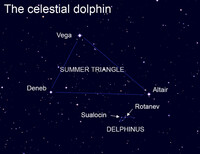 Different cultures have viewed this constellation differently, including as a porpoise, a riding camel and the great fish of Jonah.