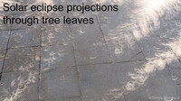  Looking down at the ground like this is one of the safe ways to view a solar eclipse. 