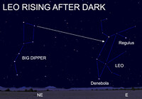  These stars signal the beginning of springtime! 