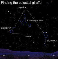  The ancient Greeks called the giraffe a "leopard camel." 