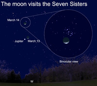  You should still be able to see the Seven Sisters even when the moon is out.  