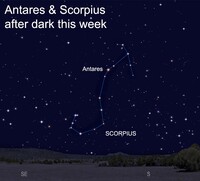 The constellation Scorpius's brightest star is Antares, a red supergiant.