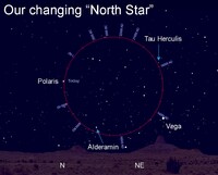  Due to the Earth's axial precession, Vega will replace Polaris as Earth's North Star by 14,000 A.D. 