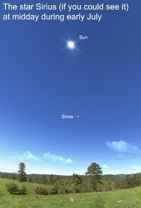  Sirius has long been known as the "Dog Star." 