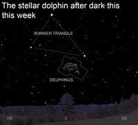  The constellation Delphinus forms a striking asterism in the shape of a dolphin. 