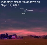 On Friday, Sept. 19, the moon, Venus and the star Regulus will appear so close together in the sky that all three can be viewed at once with binoculars. 