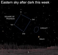  Both the Great Square of Pegasus and a circlet of stars above Saturn will be visible in the night sky this week. 