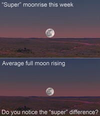 The closest, brightest Moon of the year will appear on Wednesday, Nov. 5.
