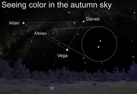  The binary star Albireo will be visible by telescope this week. 