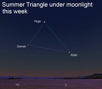  The Summer Triangle is visible in the eastern sky after dark this week. 
