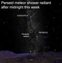 The Perseid meteor shower is expected to peak during the predawn hours of Thursday, Aug. 13.