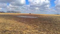  The disputed mud puddle on the Foster's land. Tree stands are seen in the far background. Photo courtesy of Tony Francois. 